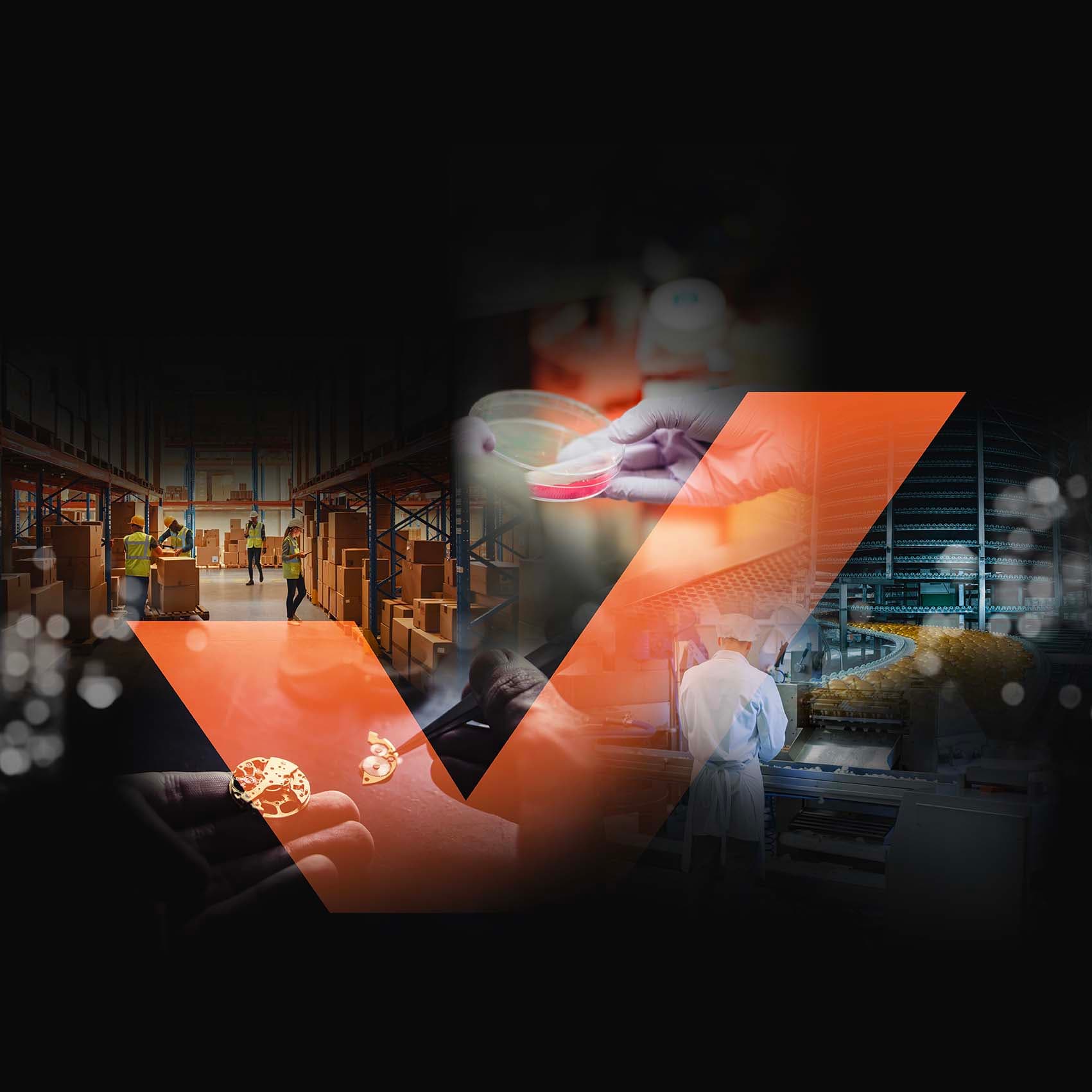 Erstellen Sie Ihren Lebenslauf schnell